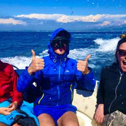 Speed Boat, Snorkeling in Karaburun-Sazan National Marine Park
